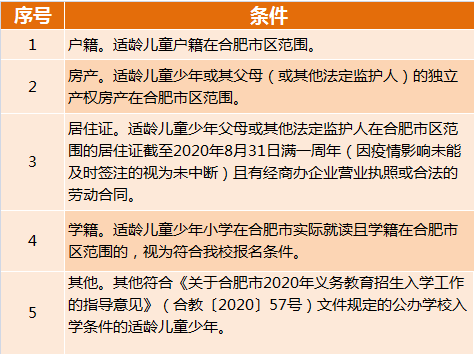 合肥世外報(bào)名條件